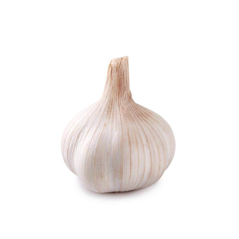 Fresh Small Package Garlic Wholesale Pure White Garlic Export Quality