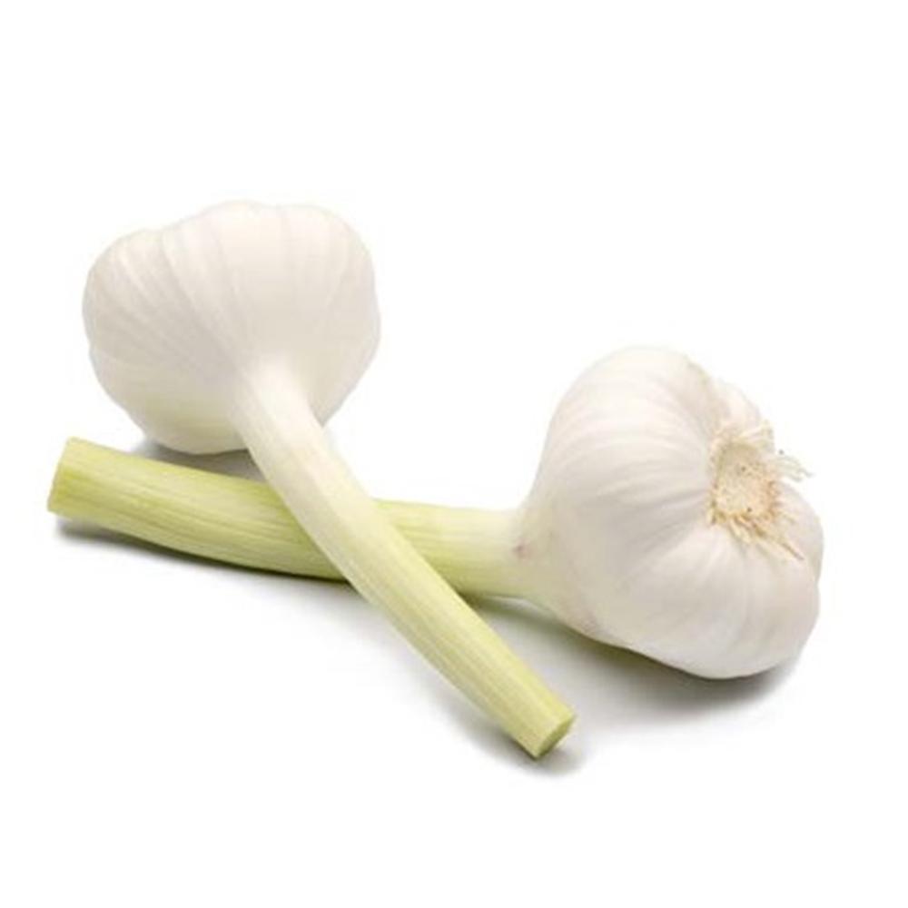 Fresh Small Package Garlic Wholesale Pure White Garlic Export Quality