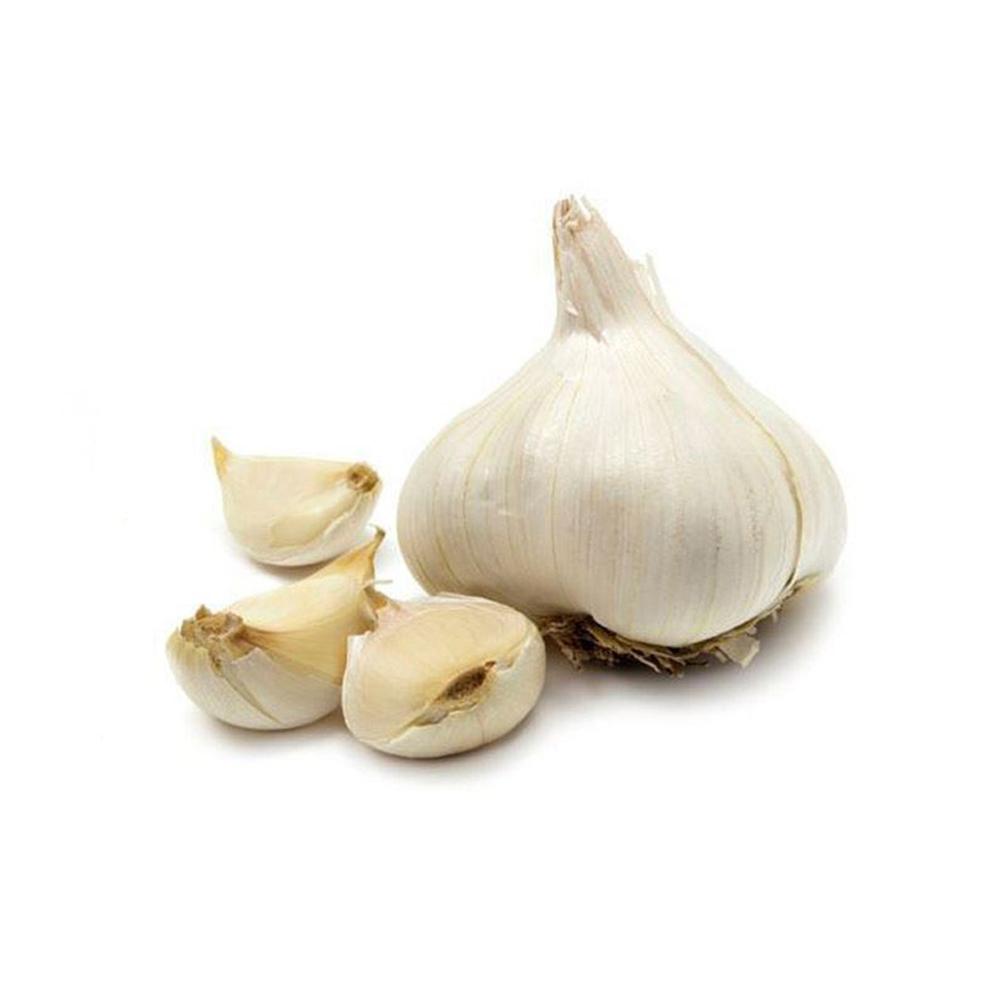 Fresh Small Package Garlic Wholesale Pure White Garlic Export Quality