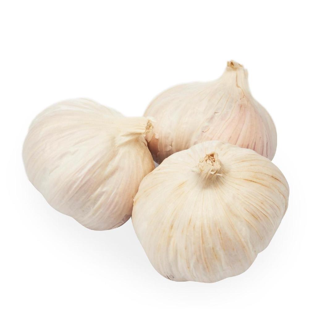 Fresh Small Package Garlic Wholesale Pure White Garlic Export Quality