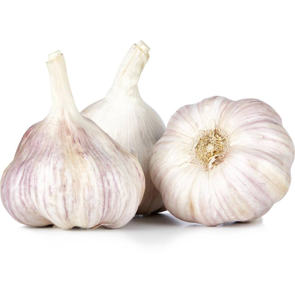 Good Garlic Brand Supplier Quality Pure Fresh Garlic Bulk Wholesale Cheap Price White Garlic for Sale