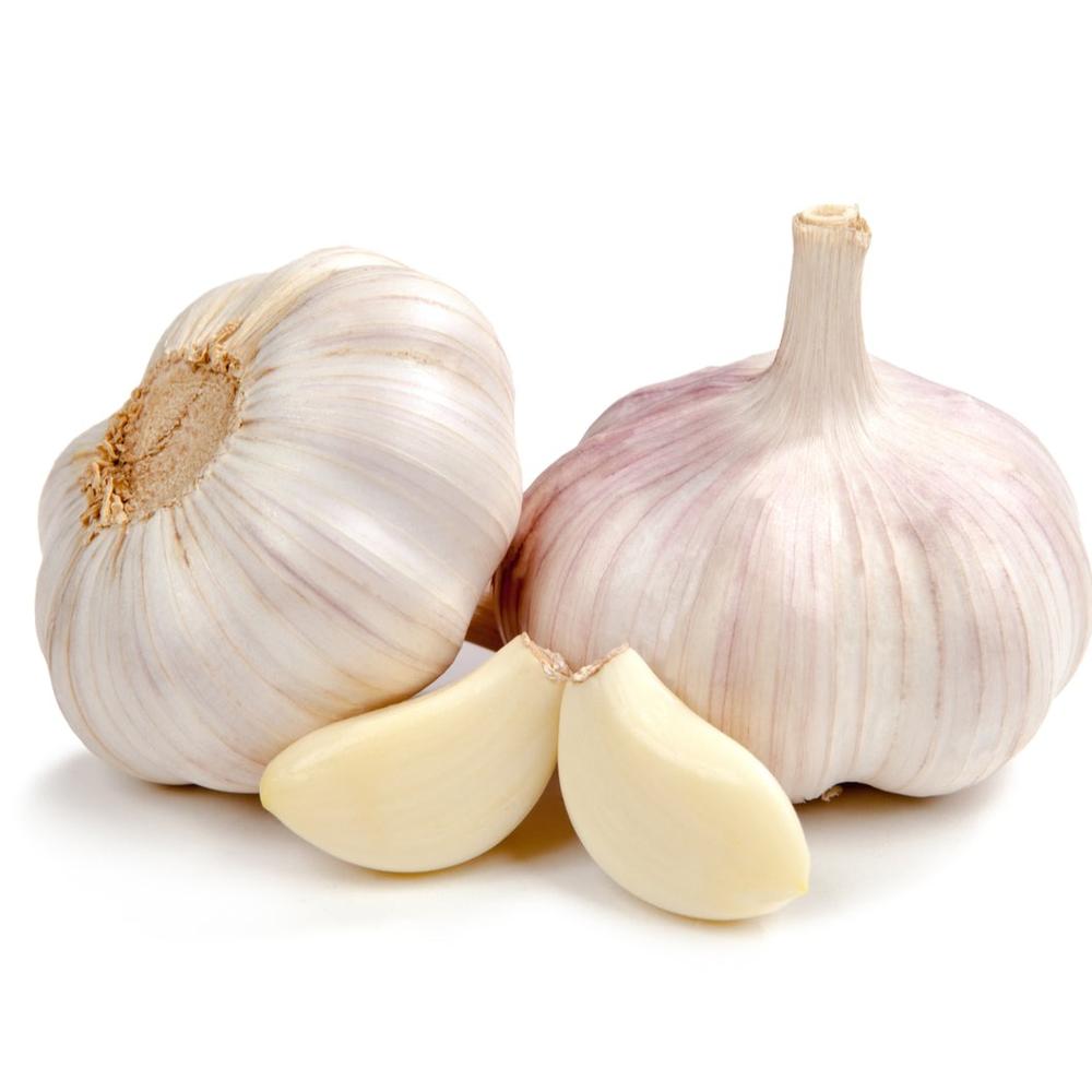 Good Garlic Brand Supplier Quality Pure Fresh Garlic Bulk Wholesale Cheap Price White Garlic for Sale