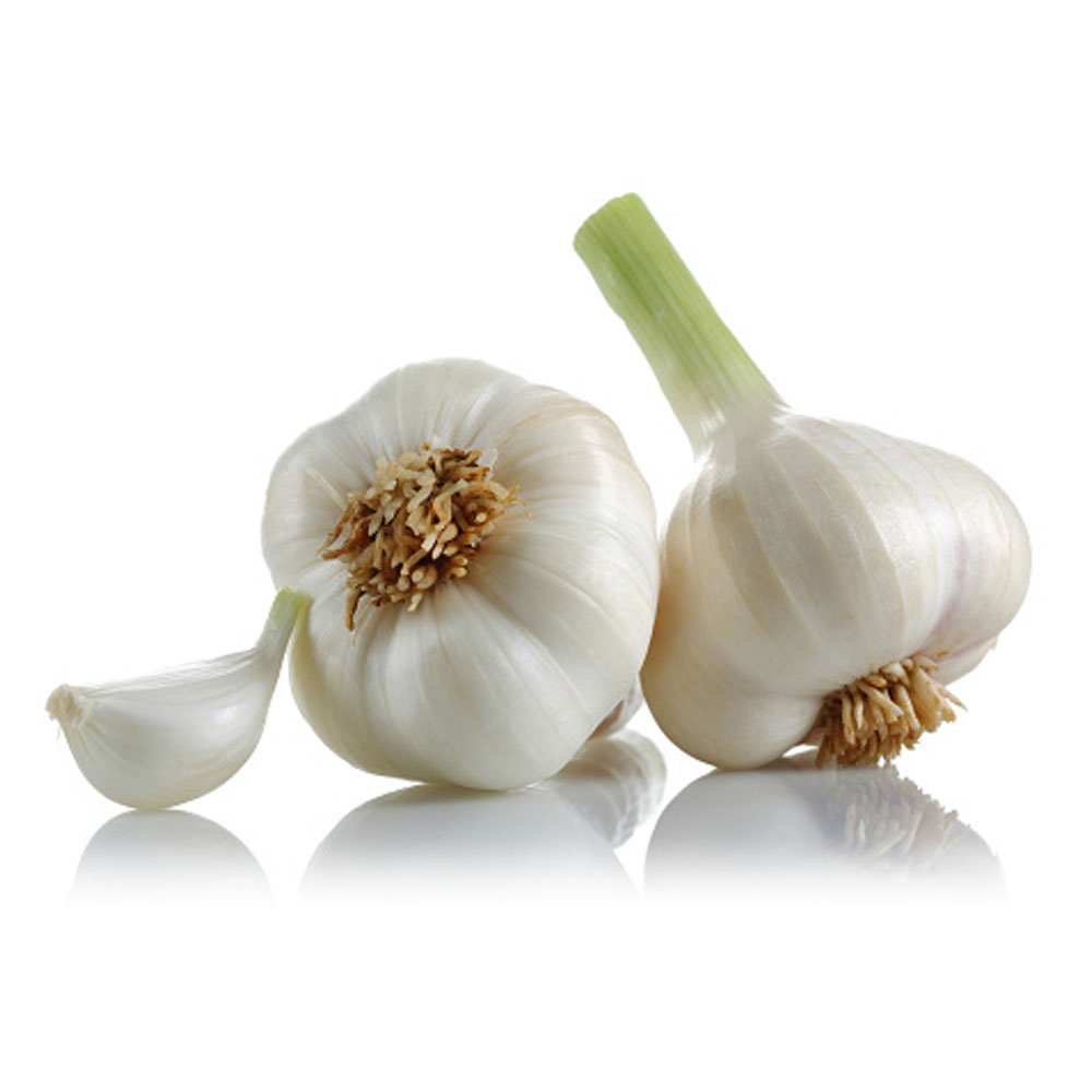Good Garlic Brand Supplier Quality Pure Fresh Garlic Bulk Wholesale Cheap Price White Garlic for Sale