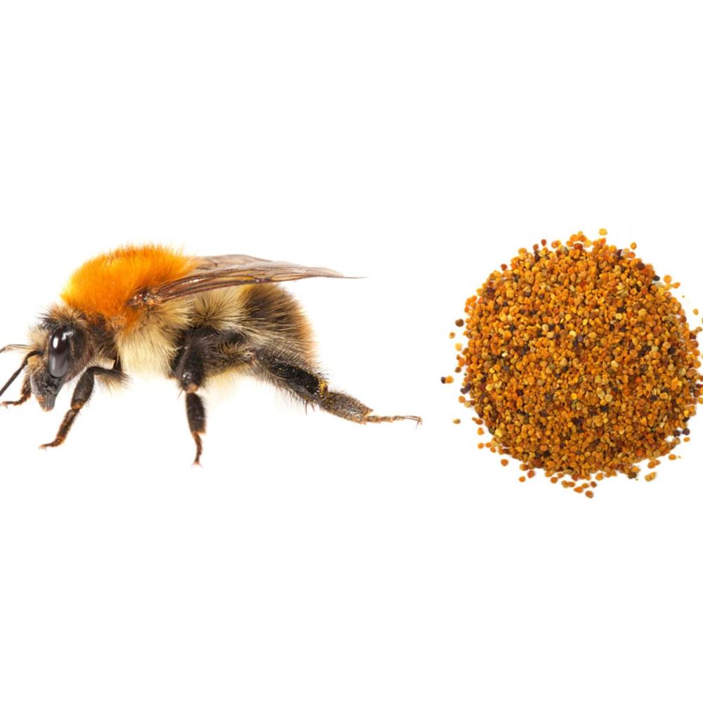 High Quality 100% Natural Food Grade Bee Pollen Granules Mixed Bee Pollen Supplement