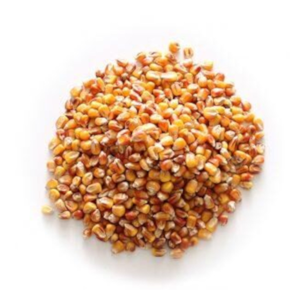 Factory Made AD Dried Yellow Corn Kernel for Sale