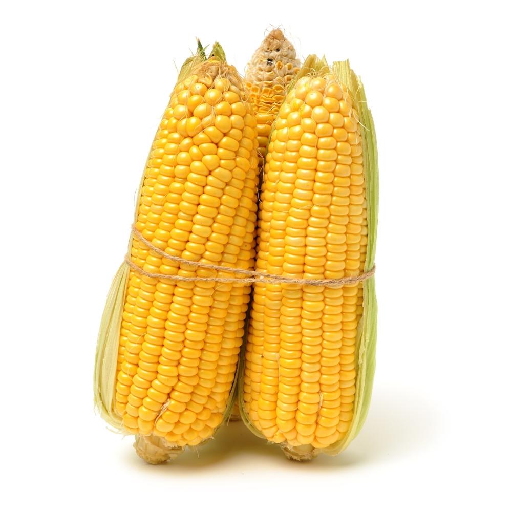 Factory Made AD Dried Yellow Corn Kernel for Sale
