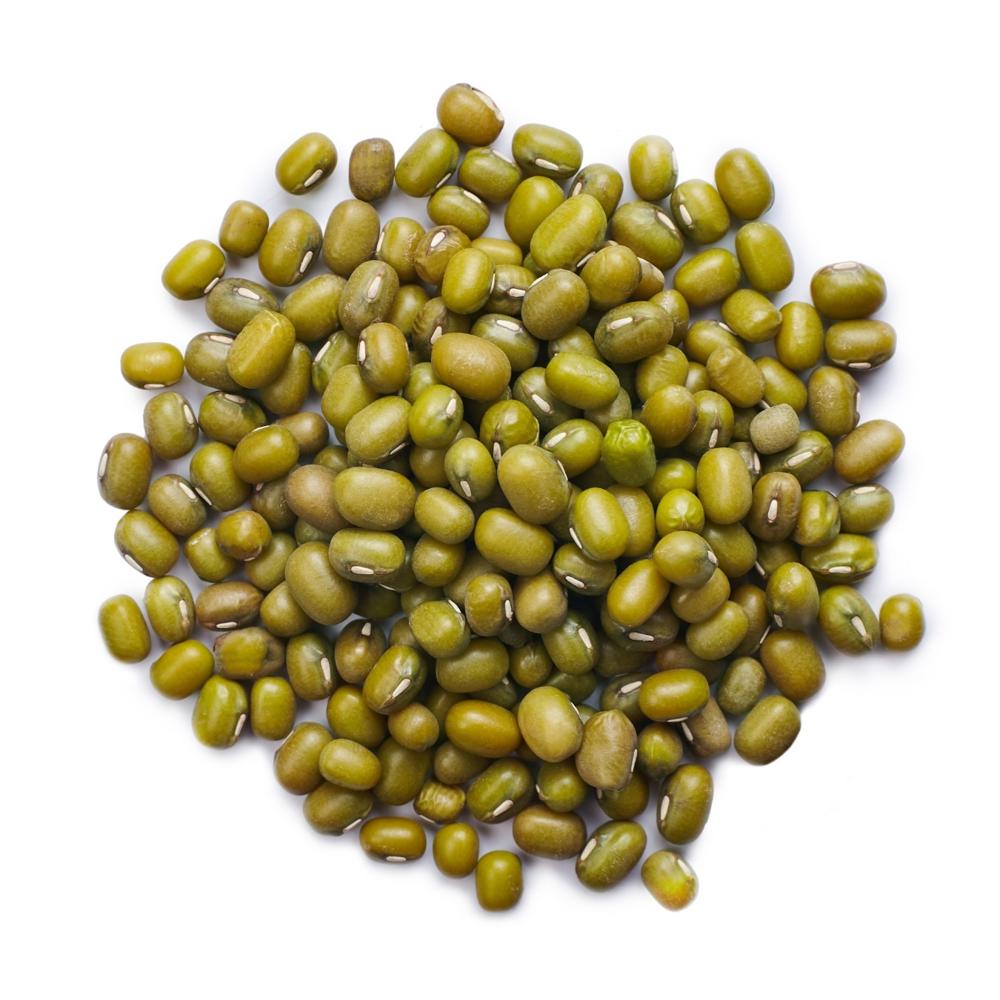 Buy Freshly Harvested Green Mung Beans Vigna Seeds New Season Crop Available In Bulk For Wholesale - Admixture (%): 0.5