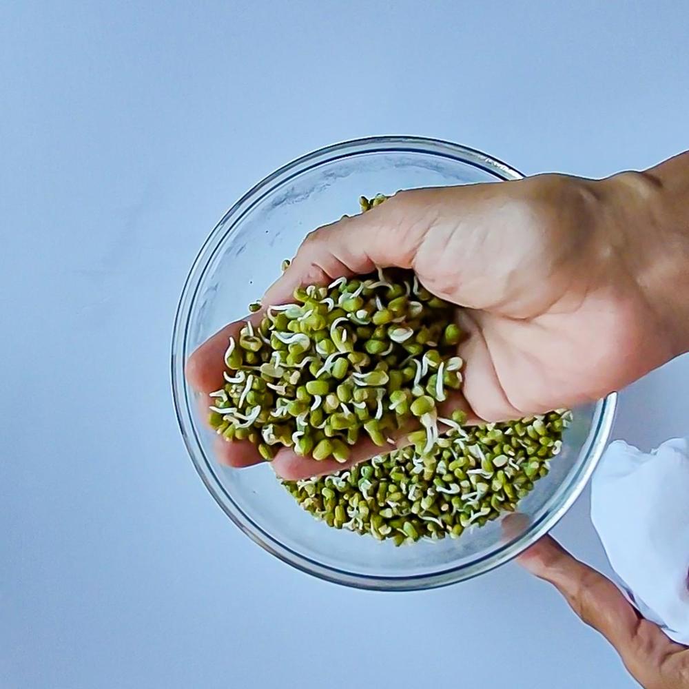 Buy Freshly Harvested Green Mung Beans Vigna Seeds New Season Crop Available in Bulk for Wholesale 