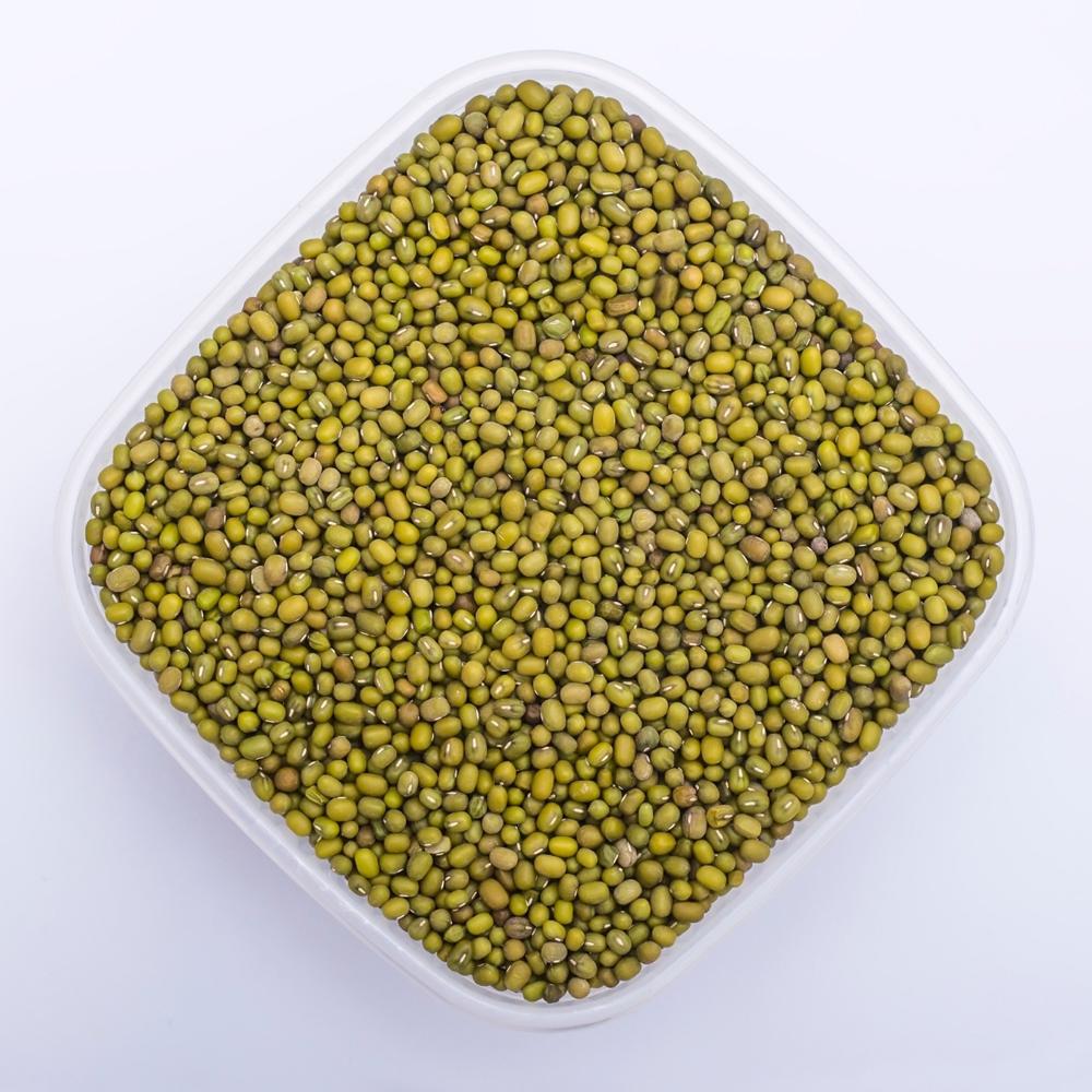 Factory Wholesale Top Quality Green Mung Beans Green Gram Beans for Export