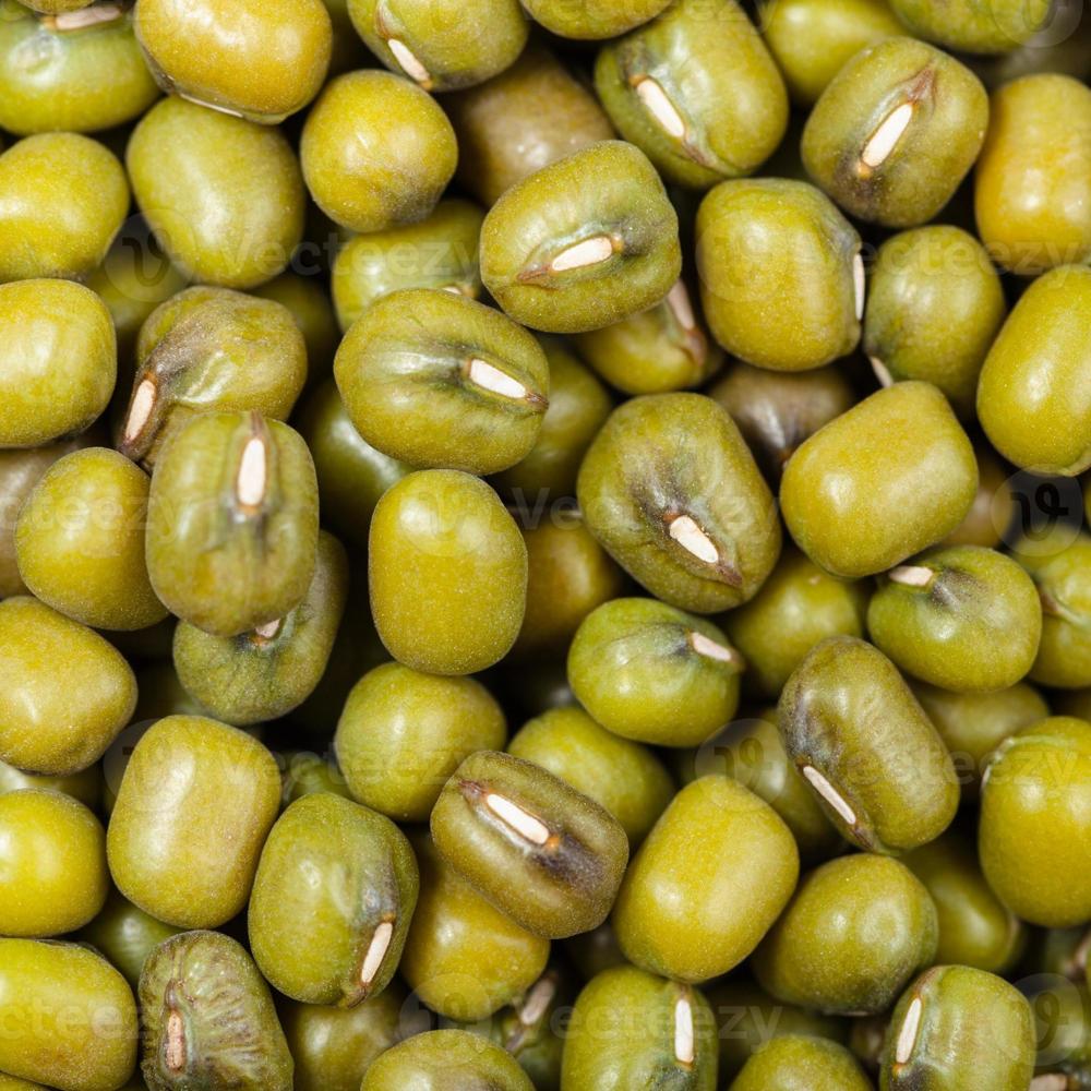 Factory Wholesale Top Quality Green Mung Beans Green Gram Beans for Export