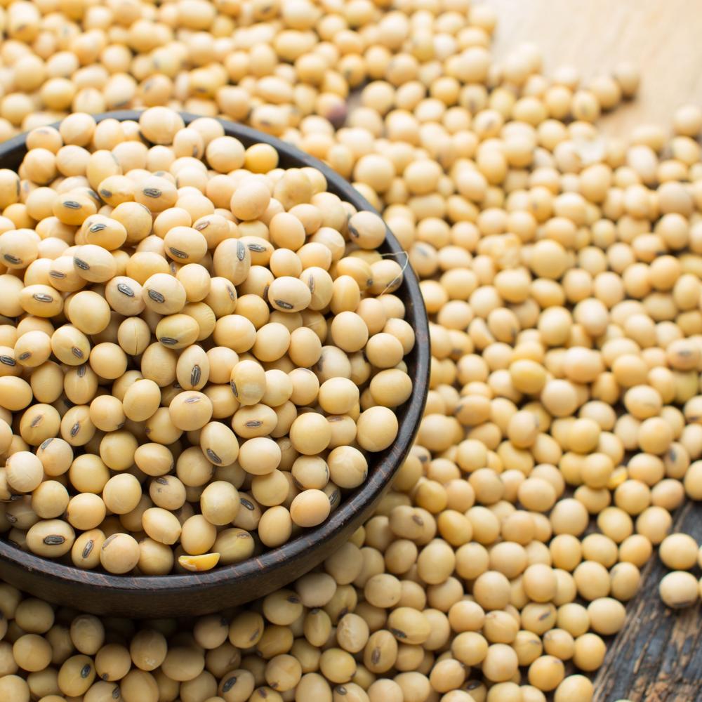Soybeans High Quality Non GMO Yellow Dry Soybean Seed NON-GMO Soya Beans
