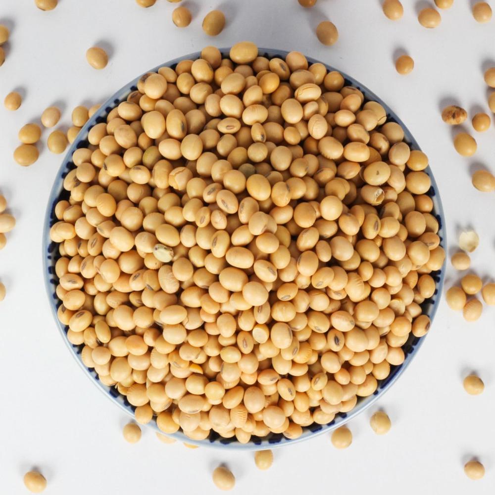 Soybeans High Quality Non GMO Yellow Dry Soybean Seed NON-GMO Soya Beans