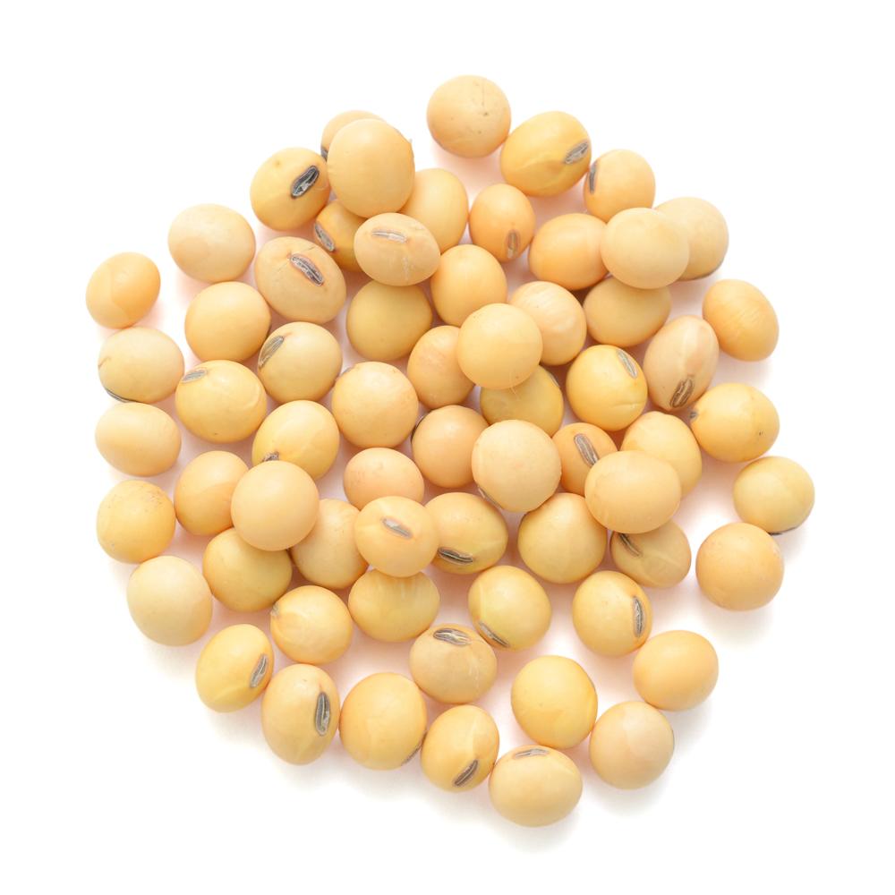 Soybeans High Quality Non GMO Yellow Dry Soybean Seed NON-GMO Soya Beans
