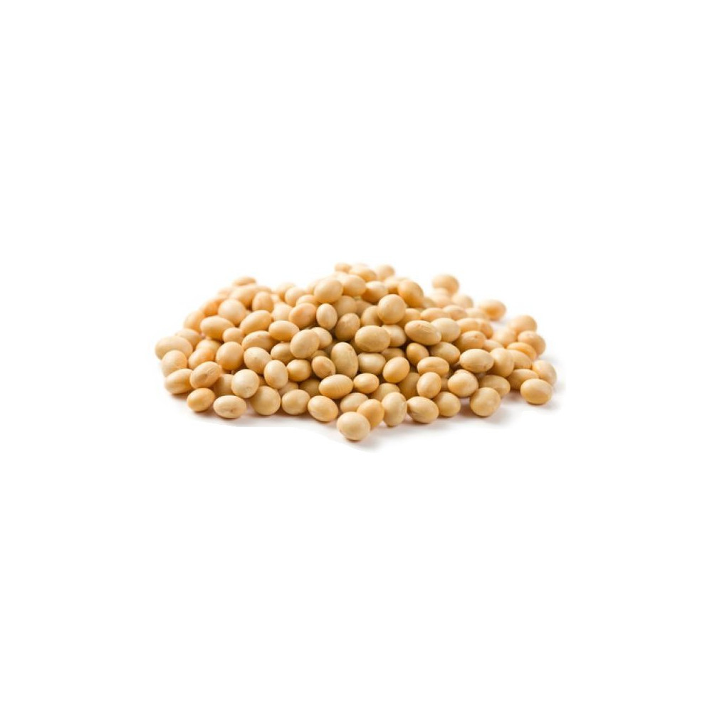 Premium Organic and Soybeans Yellow Soybeans Available in Bulk Quantity Affordable Price
