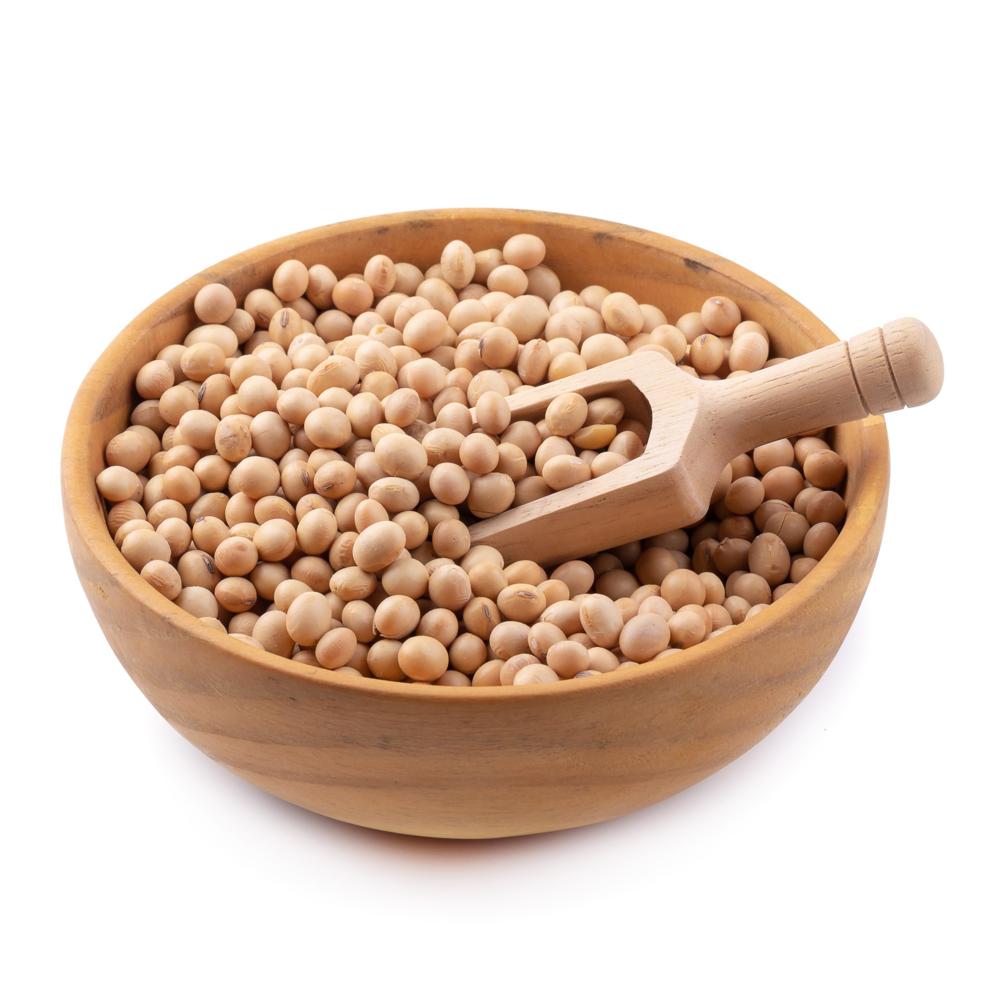 Premium Organic and Soybeans Yellow Soybeans Available in Bulk Quantity Affordable Price