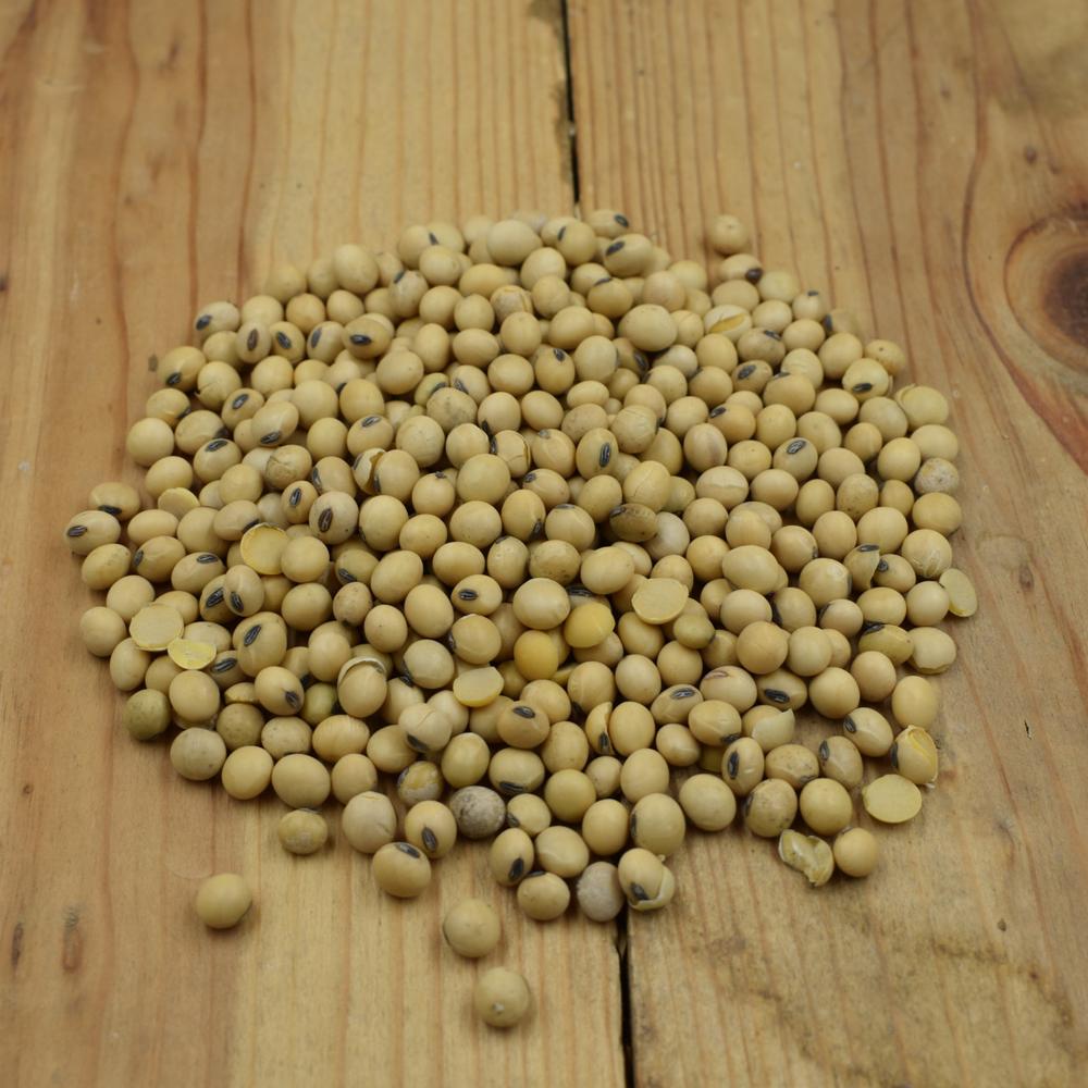 Premium Organic and Soybeans Yellow Soybeans Available in Bulk Quantity Affordable Price