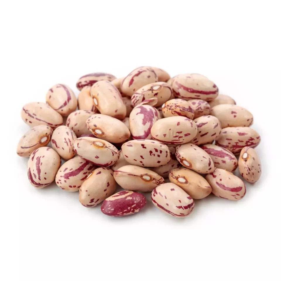 Organic Light Speckled Sugar Beans Dried and Packaged in Bulk for Sale