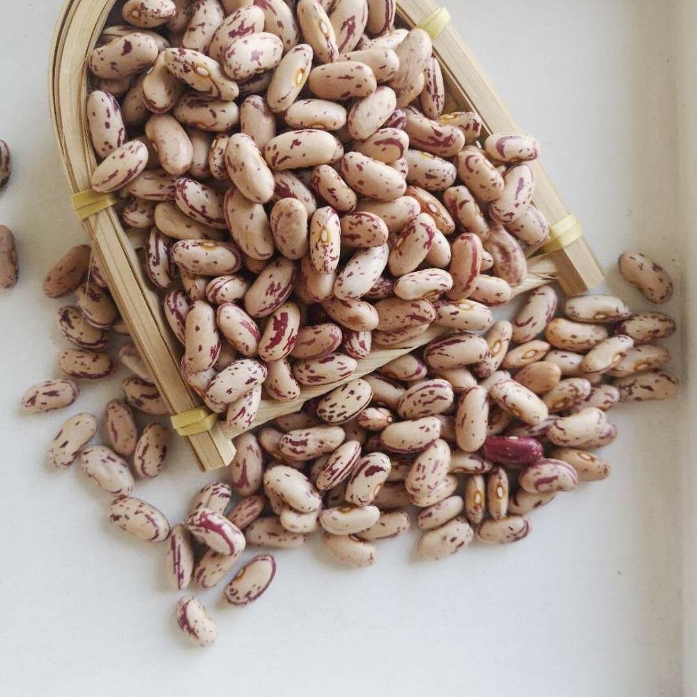 Organic Light Speckled Sugar Beans Dried and Packaged in Bulk for Sale