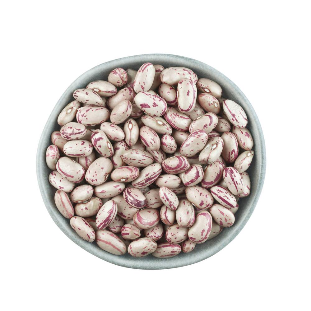 Sugar Beans for sale bulk supply discount price wholesale fresh stock