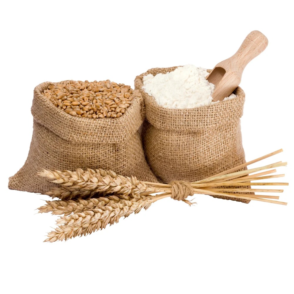 Quality Whole Wheat Flour For Export Wheat Flour 50kg