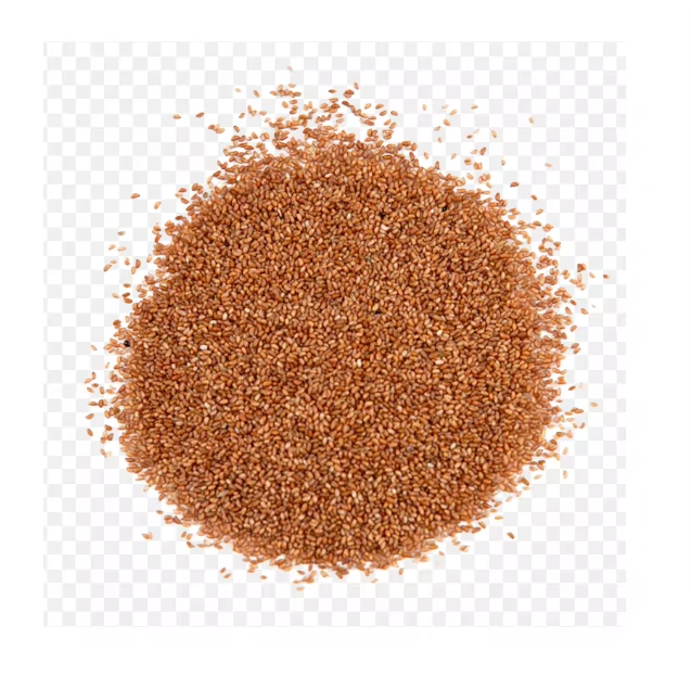 Organic Premium Grade Fresh Teff Grains and Flour High Quality Ingredients for Premium Quality