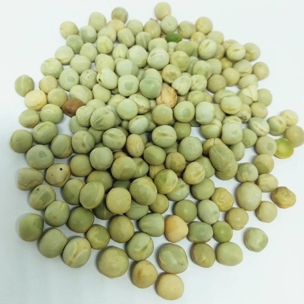 Premium quality food grade dried green peas at wholesale price
