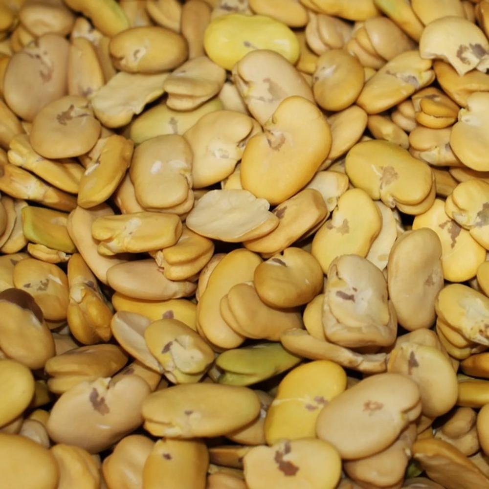 Wholesale Price Dried Organic Size 60-70 Grains Per 100g Faba Broad Beans Fava Beans Price