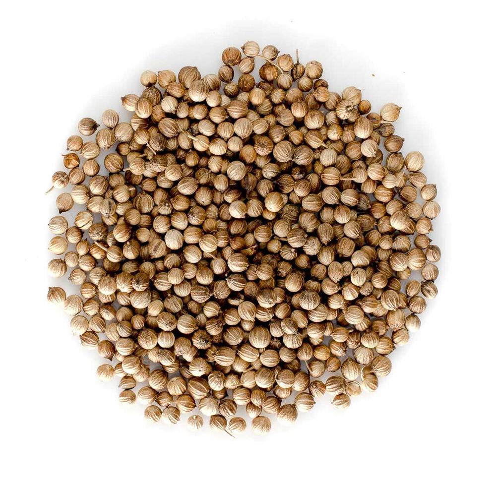 Best Single Coriander Seeds from India Fresh New Jute PP Bags Raw Brownish Herbs