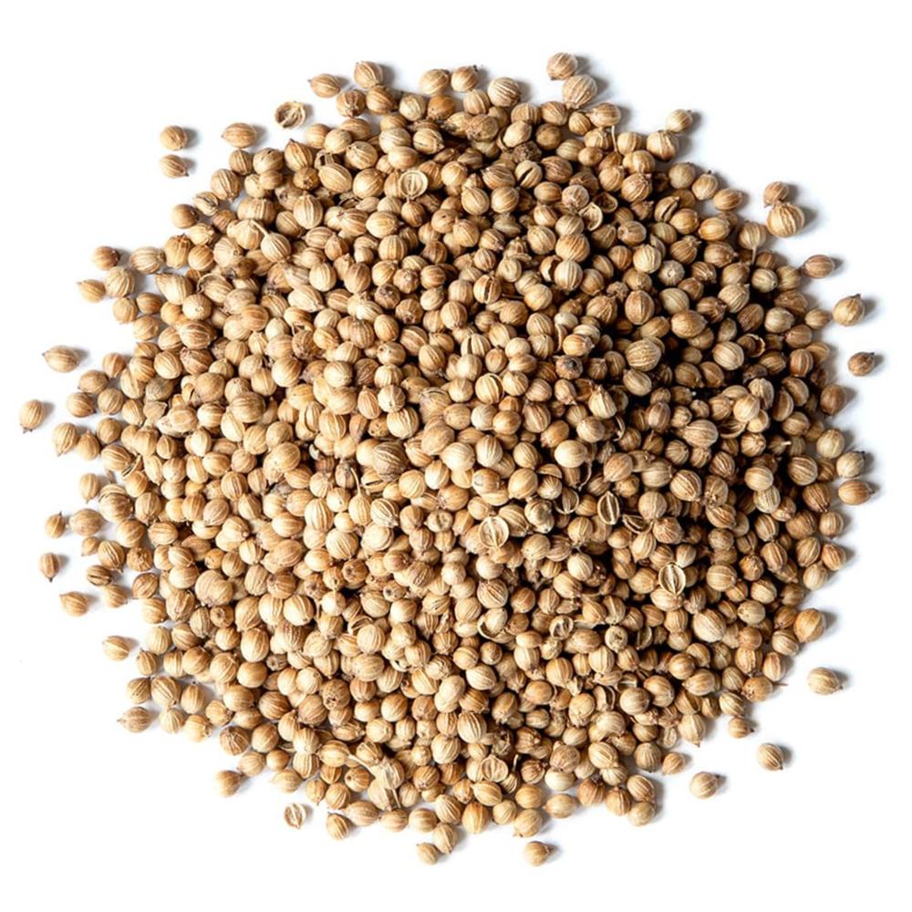Best Single Coriander Seeds from India Fresh New Jute PP Bags Raw Brownish Herbs