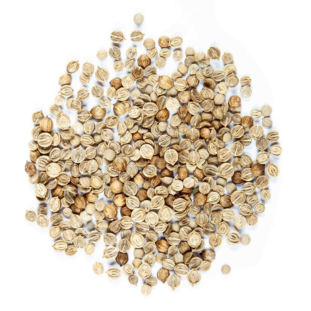 Best Single Coriander Seeds from India Fresh New Jute PP Bags Raw Brownish Herbs