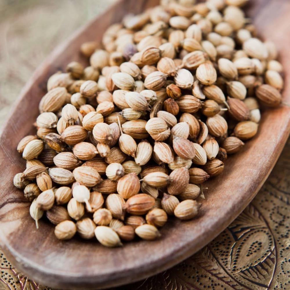 Premium Quality Coriander Seeds Whole and Cleaned Bulk Export Natural Aromatic Herb