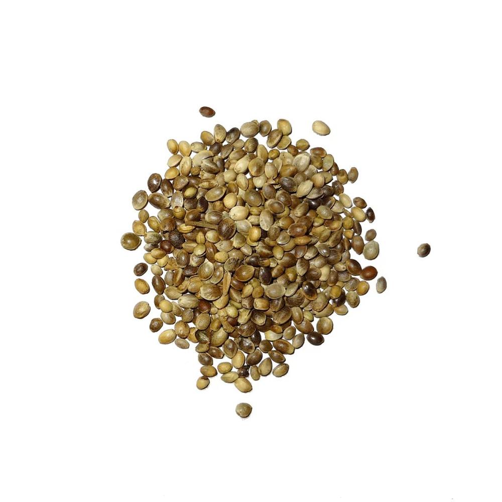 Organic Hemp Seeds Supplier Wholesale Natural Hemp Seeds