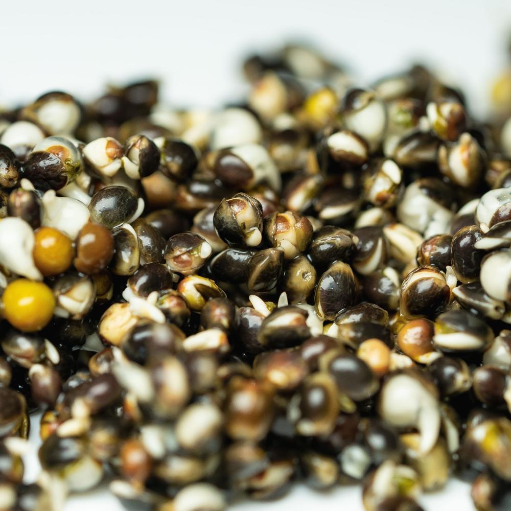 Organic Hemp Seeds Supplier Wholesale Natural Hemp Seeds