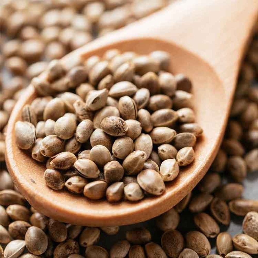 Wholesale bulk hemp seed with export hemp seeds
