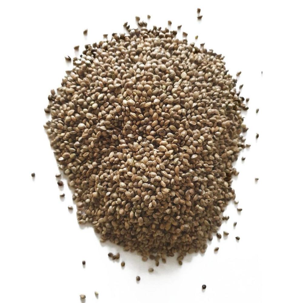 Wholesale bulk hemp seed with export hemp seeds