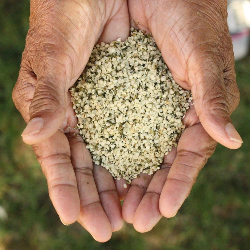 Wholesale bulk hemp seed with export hemp seeds