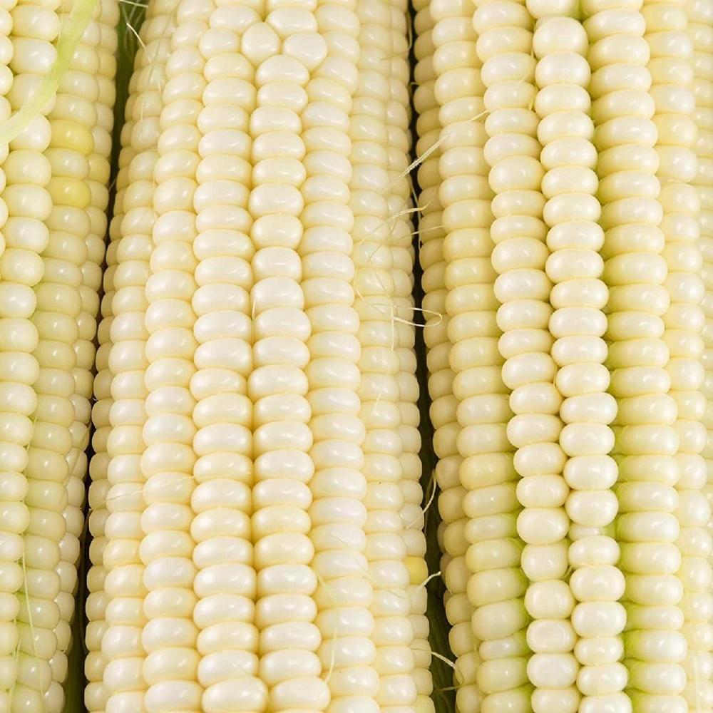 Non-GMO Air-Dried Yellow Maize Corn White Corn - Bulk Packed