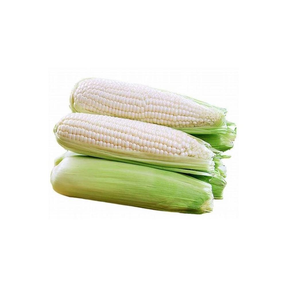 Non-GMO Air-Dried Yellow Maize Corn White Corn - Bulk Packed