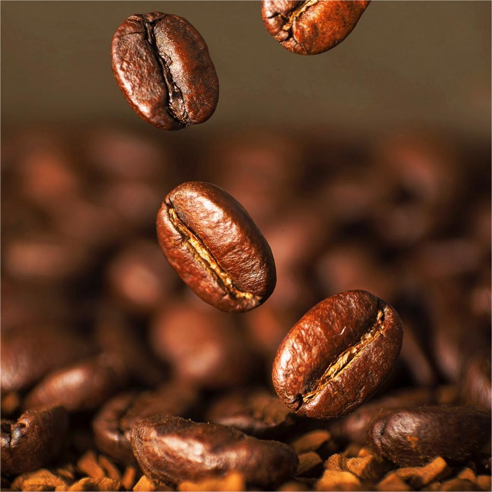High Quality Arabica Coffee Bean and Robusta Coffee Bean Factory Direct Price for Export Importers 