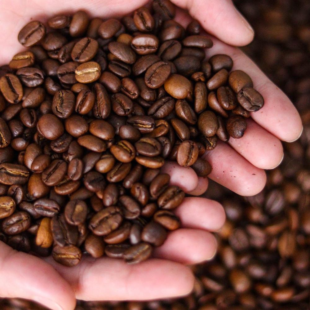 High Quality Arabica Coffee Bean and Robusta Coffee Bean Factory Direct Price for Export Importers 