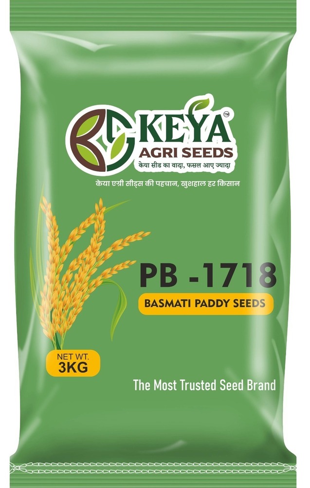 Pb-1718 Basmati Paddy Seeds - Cultivation Type: Common