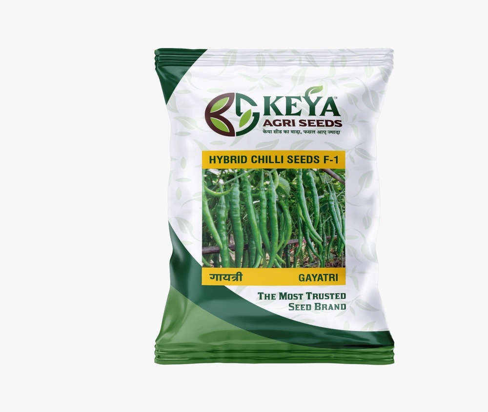 F-1 Hybrid Chilli Seeds - Cultivation Type: Common