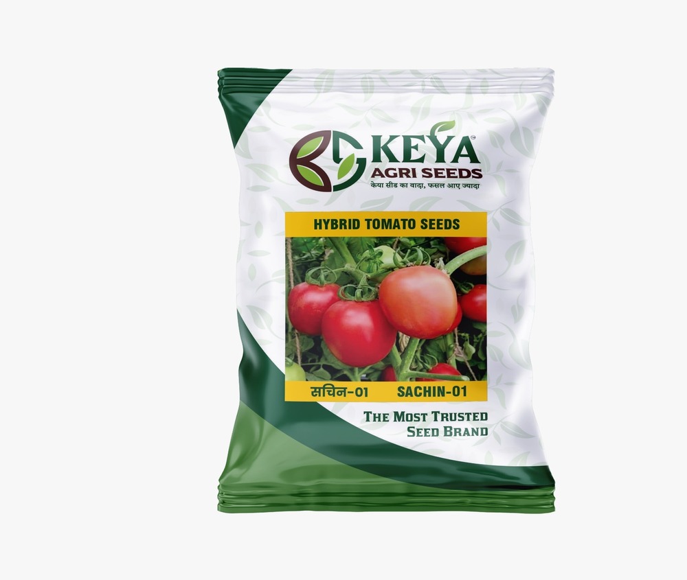 Sachin-01 Hybrid Tomato Seeds - Cultivation Type: Common
