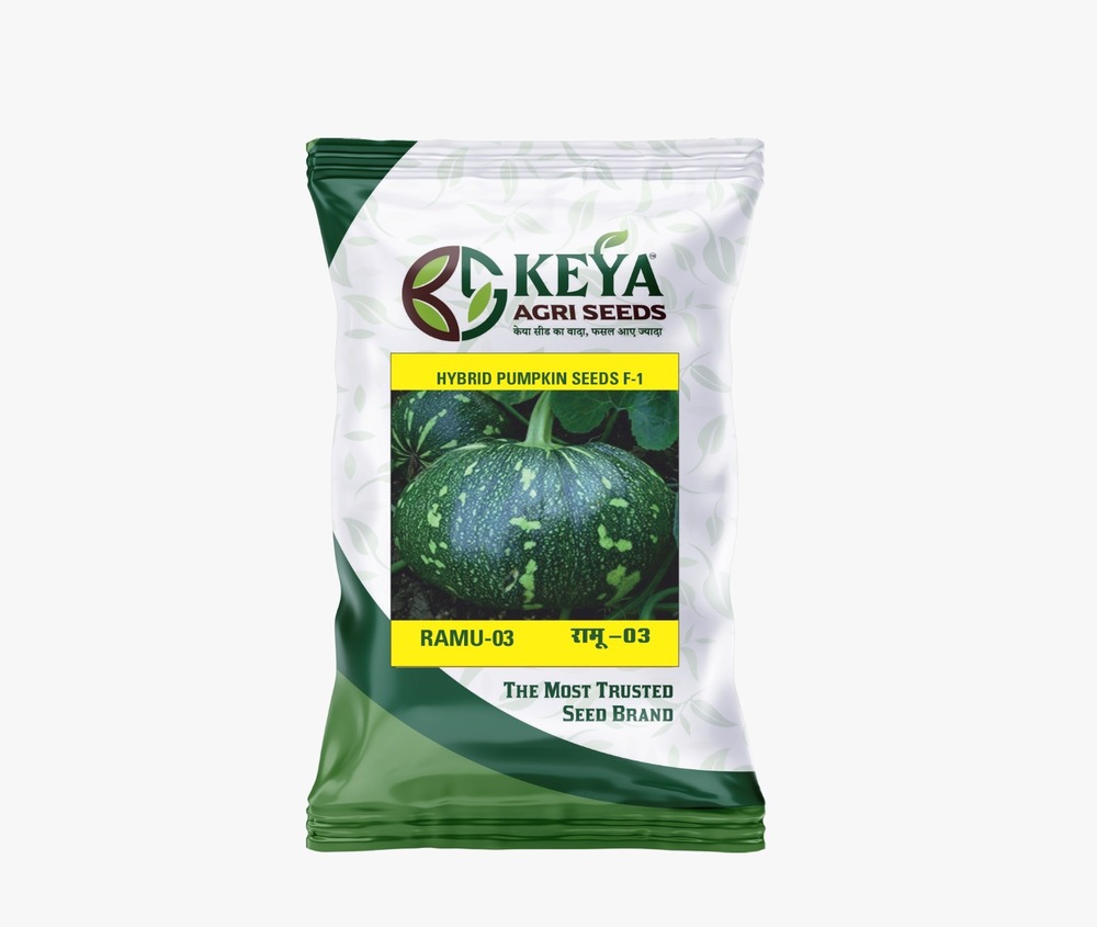 Ramu-03 Hybrid Pumpkin Seeds - Cultivation Type: Common