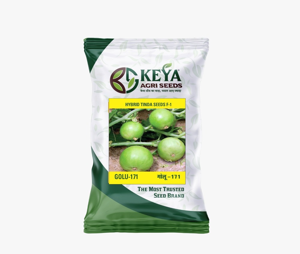 Golu-171 Hybrid Tinda Seeds - Cultivation Type: Common