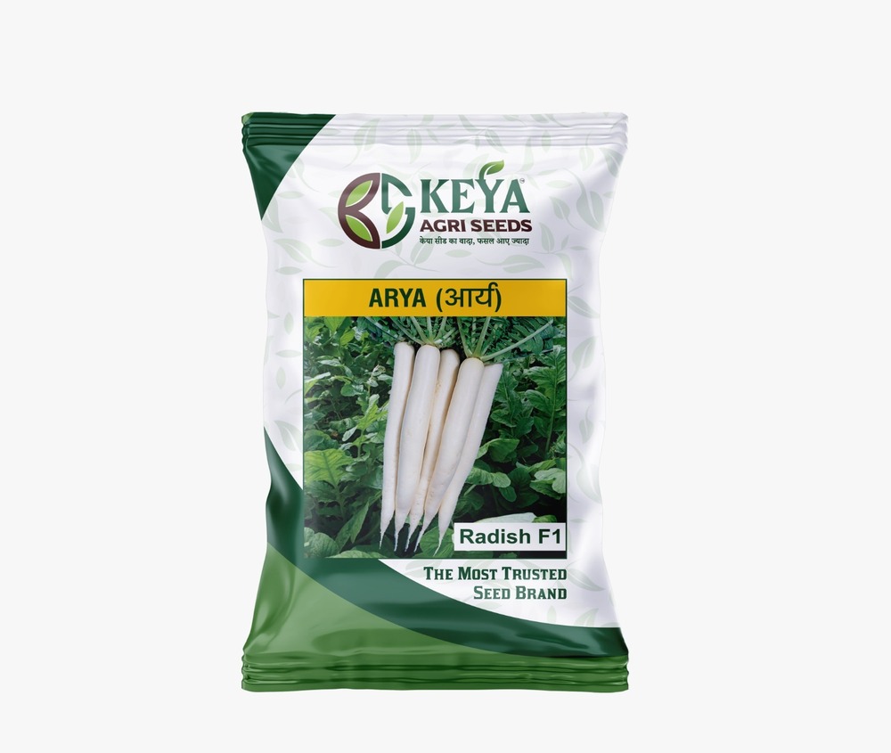 Arya Radish Seeds - Cultivation Type: Common