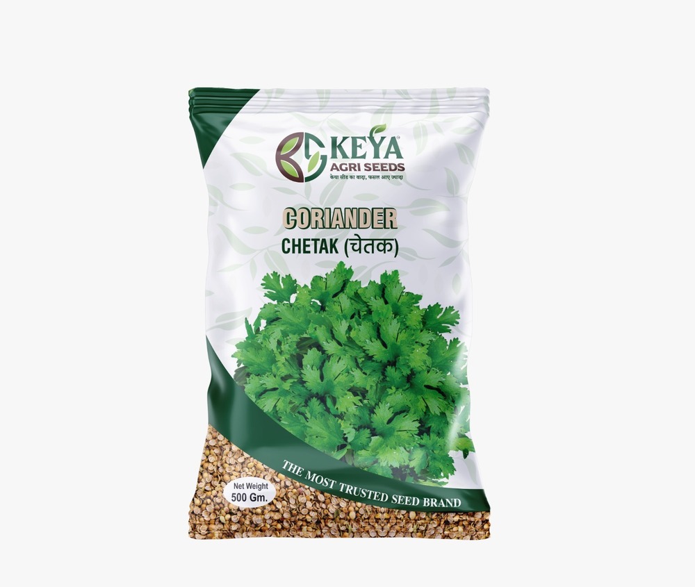 500G Chetak Coriander Seeds - Cultivation Type: Common
