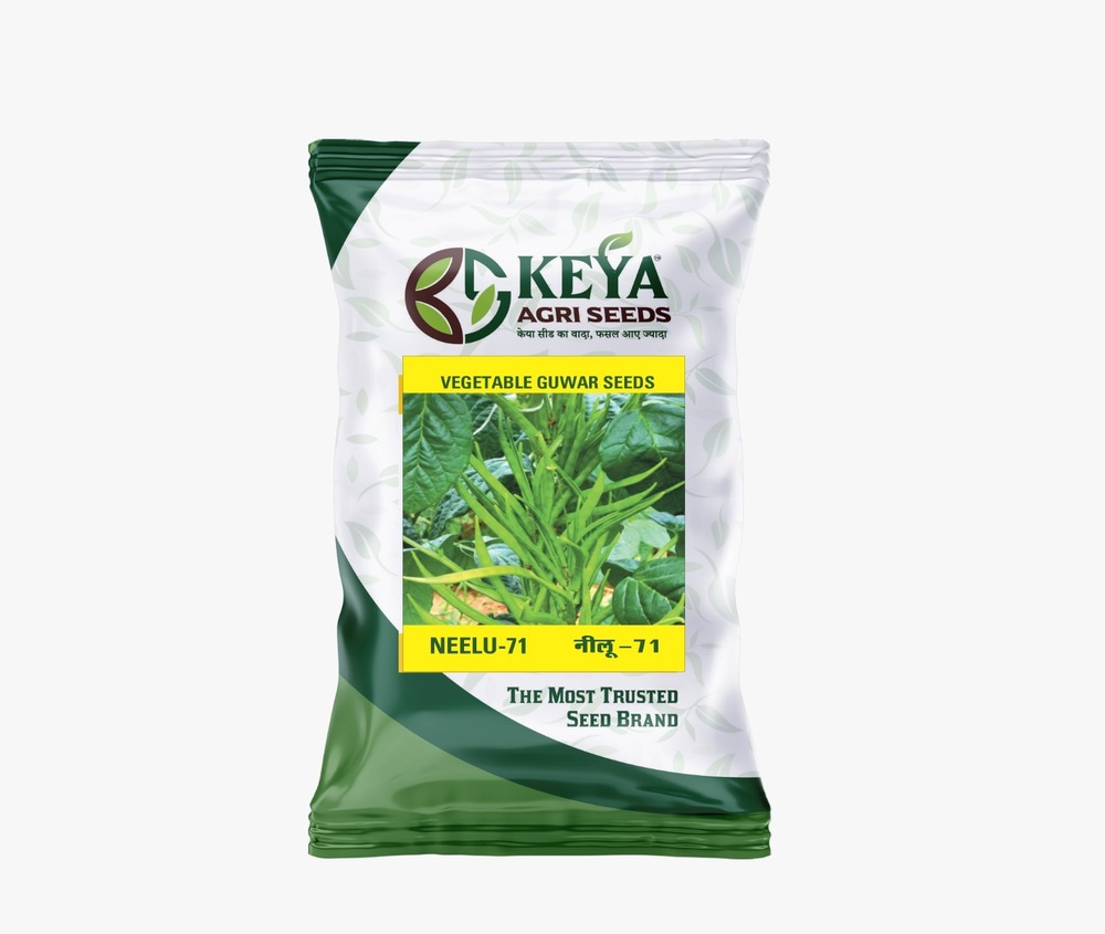 Neelu-71 Vegetable Guwar Seeds - Cultivation Type: Common