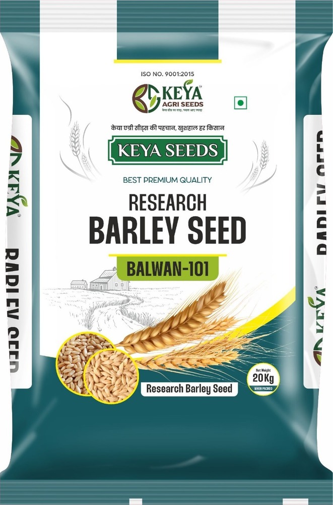 Balwan-101 Barley Seeds - Cultivation Type: Common