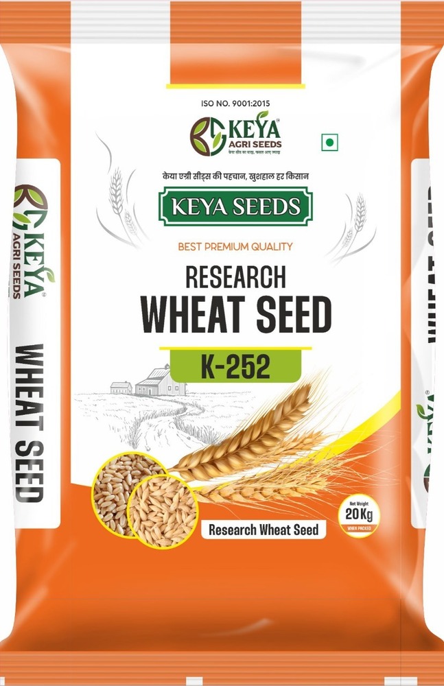K-252 Wheat Seeds - Cultivation Type: Common